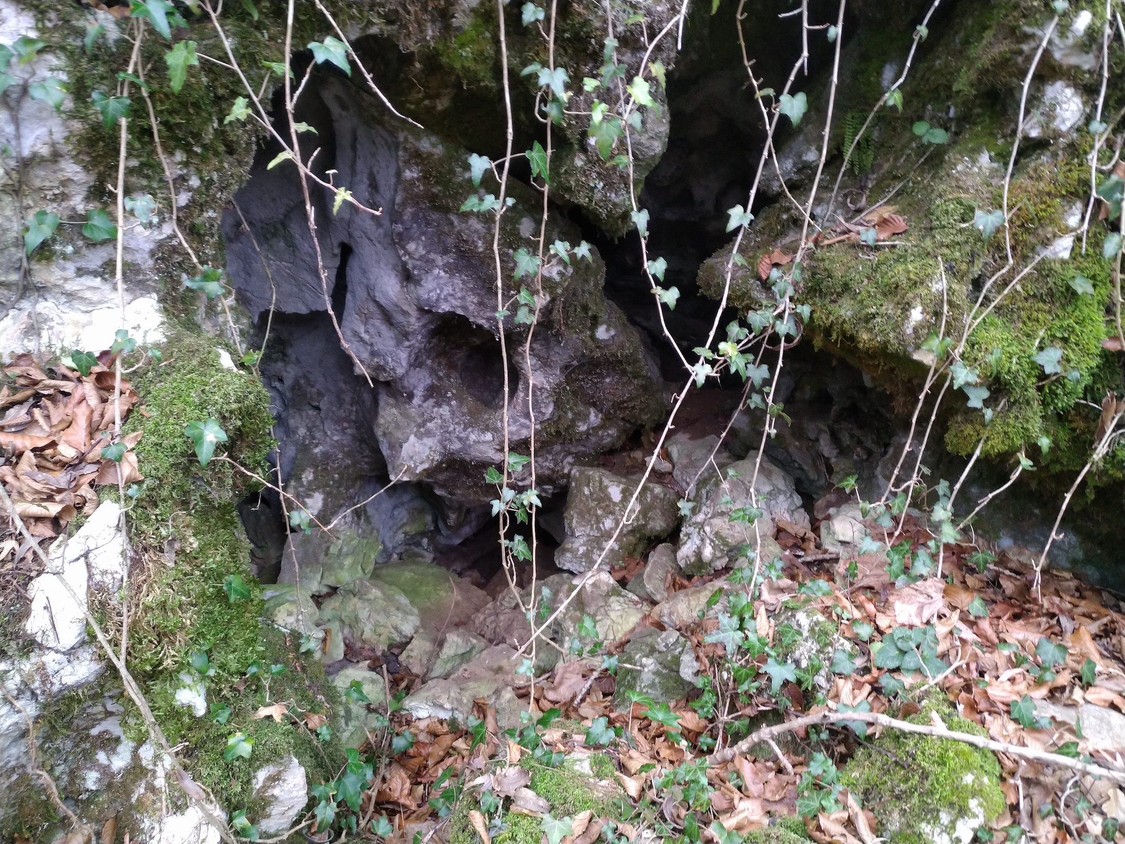 Peștera cu 4 Porți - Image 3